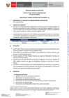 Vista preliminar de documento Bases Practicas Profesionales N° 026-2024