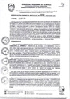 Vista preliminar de documento RGR0488-2024-GRI