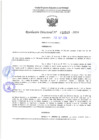 Vista preliminar de documento RD 2513-2024NX