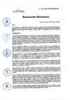 Vista preliminar de documento RD Nº 238-2024-DGINSM-HD-HN