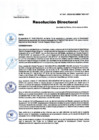 Vista preliminar de documento RD Nº 241-2024-DGINSM-HD-HN