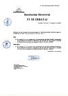 Vista preliminar de documento FE DE ERRATAS RD Nº 205-2024-DGINSM-HD-HN