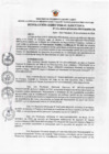 Vista preliminar de documento RDE  Nº 131-2024-APROBACION DE ANALITICO MODIFICADO Nº 05- PYT- PALILLO