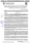 Vista preliminar de documento RGM 1226-2024