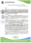 Vista preliminar de documento RGM_311-2024 