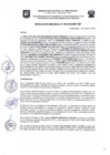 Vista preliminar de documento Resolución Gerencial N.° 0293-2024-MDT-GM