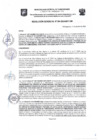 Vista preliminar de documento Resolución Gerencial N.° 0294-2024-MDT-GM