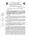 Vista preliminar de documento Resolución Gerencial N.° 0295-2024-MDT-GM