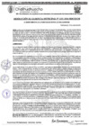 Vista preliminar de documento RGM 1251-2024