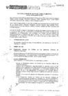 Vista preliminar de documento Acta de sesión