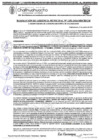 Vista preliminar de documento RGM 1252-2024