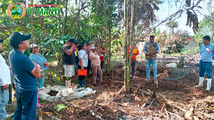 Escuela de campo en quincemil: preparación de sustrato y embolsado