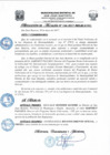 Vista preliminar de documento Resolucion166_2017