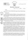 Vista preliminar de documento RD 110-2024-INO-D