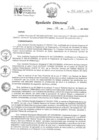 Vista preliminar de documento RD 101-2024-INO-D