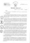 Vista preliminar de documento RD 113-2024-INO-D