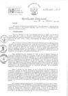 Vista preliminar de documento RD 119-2024-INO-D