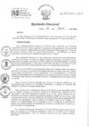Vista preliminar de documento RD 128-2024-INO-D