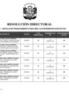 Vista preliminar de documento 00014.1. ANEXO 1 - RD N° D00014-2024-PNVR