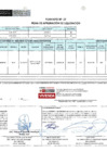 Vista preliminar de documento 00015.1. ANEXO 1 - RD N° D00015-2024-PNVR Informe de liquidación final