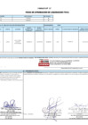 Vista preliminar de documento 00016.1. ANEXO 1 - RD N° D00016-2024-PNVR Informe de liquidación final