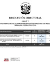 Vista preliminar de documento 00023.1. ANEXO 1 - RD N° D00023-2024-PNVR Informe de liquidación final