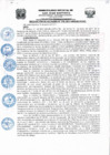 Vista preliminar de documento Resolucion195_2017