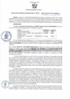 Vista preliminar de documento RGSR 115-2024