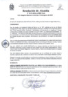 Vista preliminar de documento Resolución de Alcadía N° 119-2024