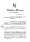 Vista preliminar de documento RD N° 316-2024