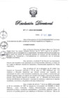 Vista preliminar de documento RD N° 317-2024