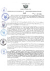 Vista preliminar de documento RES-542-2024-GR