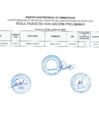 Vista preliminar de documento RESULTADOS de Evaluación Curricular