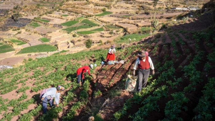 Gobierno beneficiará a más de un millón de productores con proyecto “andenes y paisajes culturales productivos” en 11 regiones del país