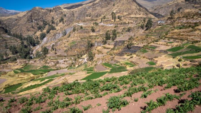 Gobierno beneficiará a más de un millón de productores con proyecto “andenes y paisajes culturales productivos” en 11 regiones del país