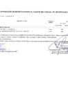 Vista preliminar de documento Modificaciones al Cuadro Multianual de Necesidades Nº 00000140-2024-MDSA