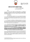 Vista preliminar de documento Resolución Directoral N.° 00796-2024-SUCAMEC-DAMMR