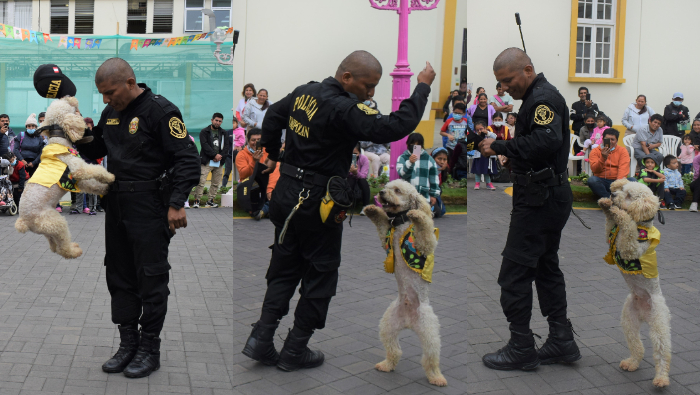 Canes entrenados por la Policía sorprendieron con acrobacias y baile a pequeños pacientes