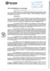 Vista preliminar de documento rgm_175_convoca