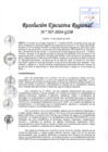 Vista preliminar de documento RER 507-2024-GOB
