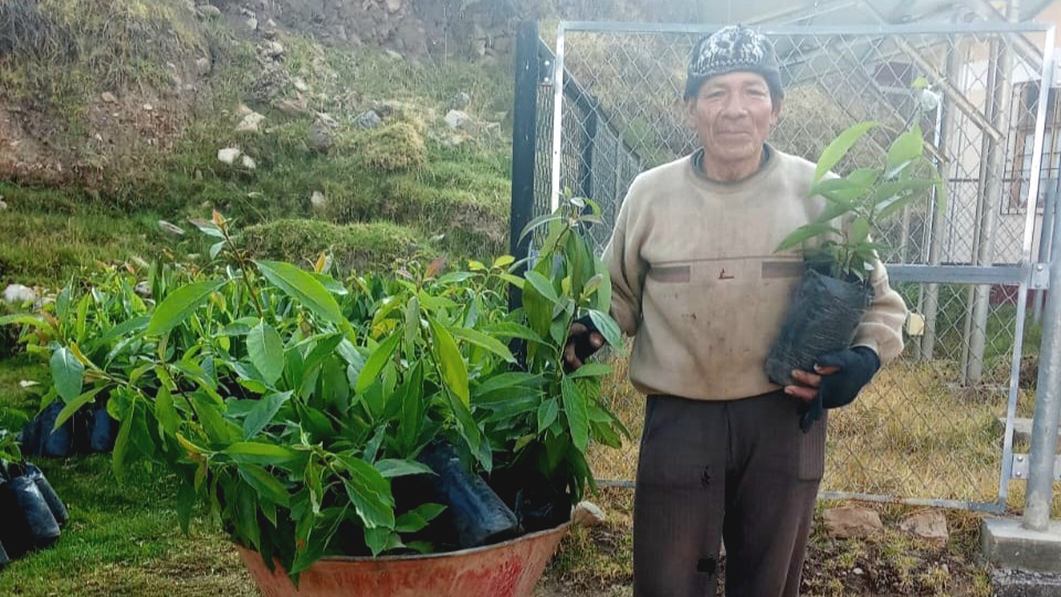 Tambo Paucho
