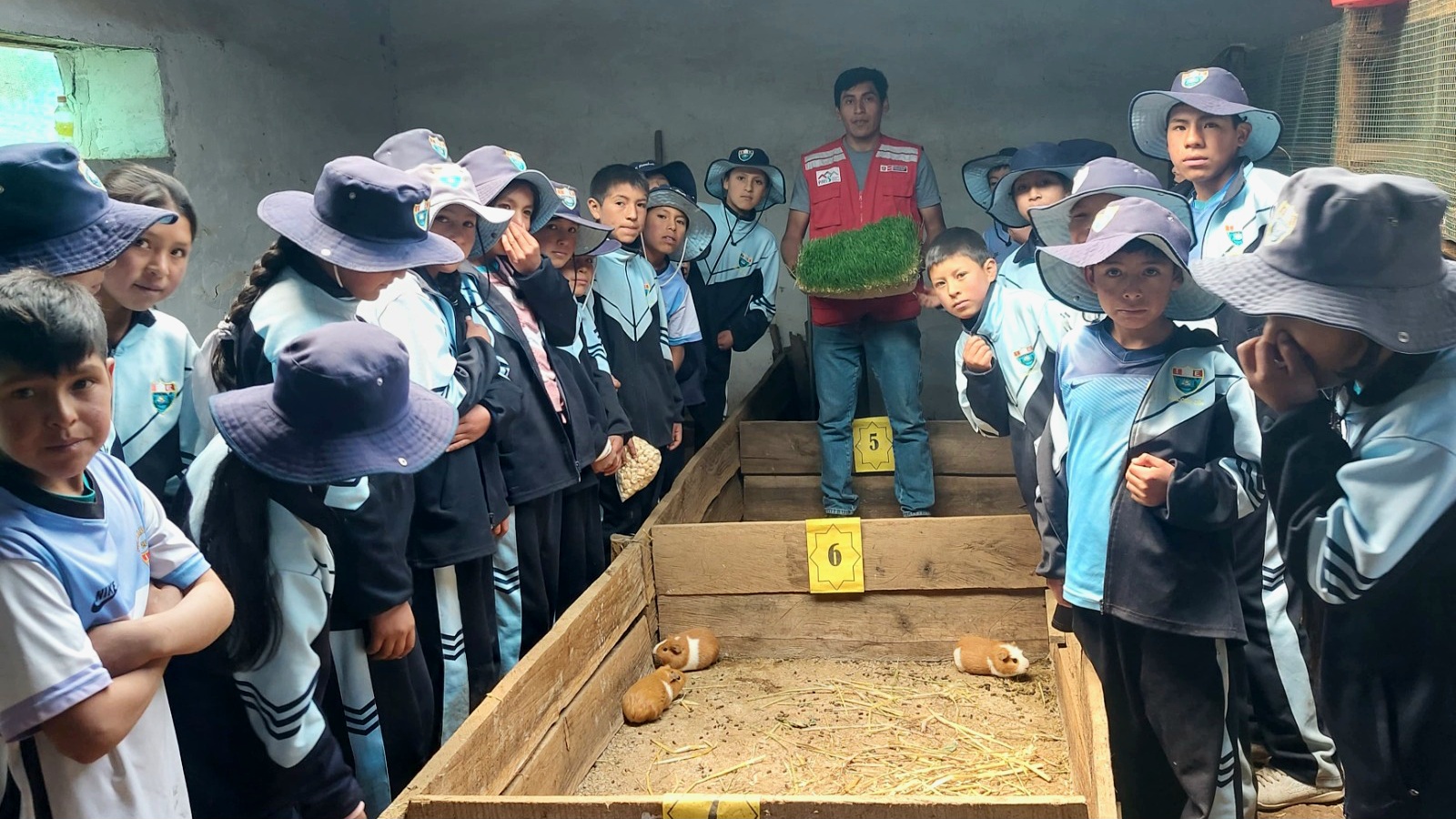 Tambo Paucho
