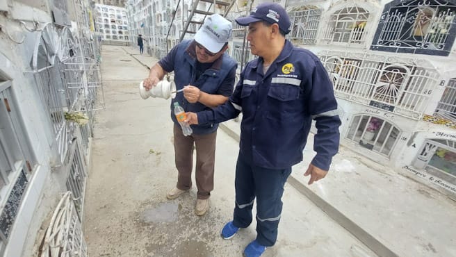 Minsa fortalece actividades preventivas en lucha contra el dengue a nivel nacional