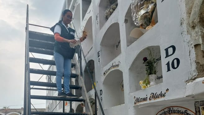 Minsa fortalece actividades preventivas en lucha contra el dengue a nivel nacional