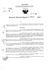 Vista preliminar de documento RDR 6589-2024