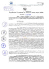 Vista preliminar de documento Resolución Directoral. N° 2342 - 2024 