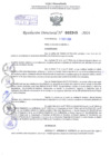 Vista preliminar de documento Resolución Directoral. N° 2345 - 2024 