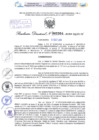Vista preliminar de documento Resolución Directoral. N° 2354 - 2024 