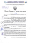 Vista preliminar de documento Resolución Directoral. N° 2357 - 2024