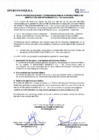 Vista preliminar de documento SSST